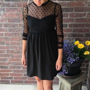 Little Black Dress / Elegant / Lace / Zara
